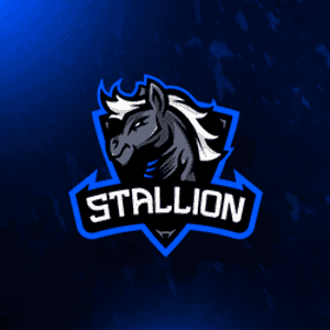 stallion twitch streamer profile image